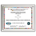 Magnetic Clear on Clear Acrylic Certificate Frame (10 1/4"x12 1/4"x1/2")